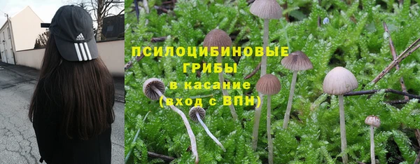 герыч Абинск