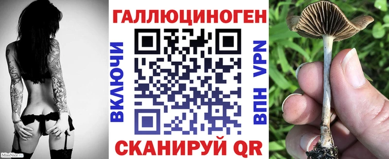 Псилоцибиновые грибы Psilocybine cubensis закладки Прохладный